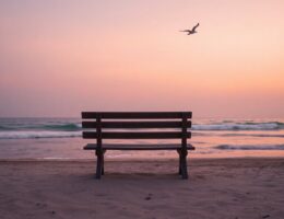 embrace presence release attachment