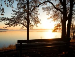 clear your mind effectively